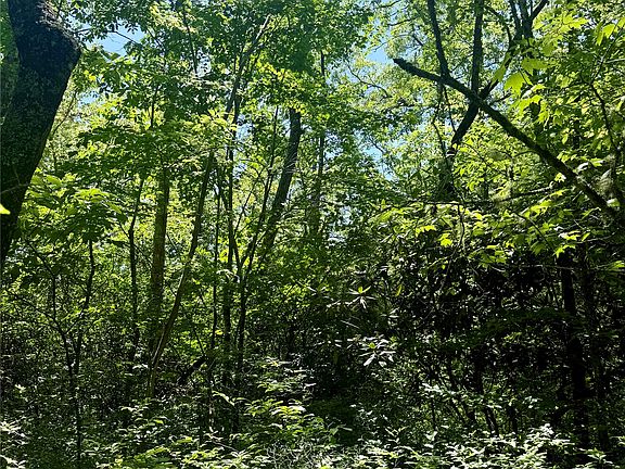 2nd image of TBD Indian Lake Road