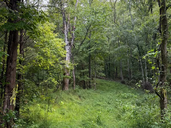 0 Shelter Branch Rd Lot 1C, Charlotte, TN 37036