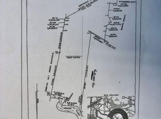 0 Peter King Rd, Riceboro, GA 31323