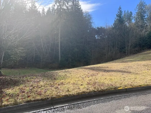 0 Lot 17 Delguzzi Dr, Port Angeles, WA 98362