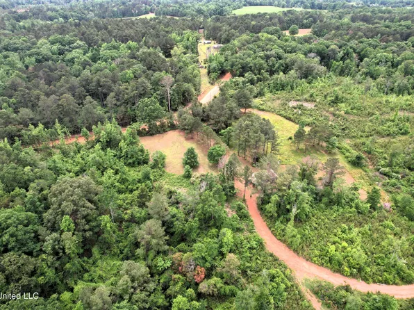 County Road 127, Union, MS 39365