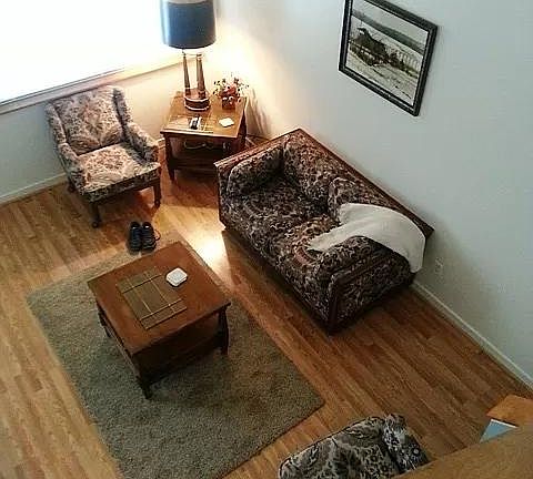 Vaulted ceiling living room