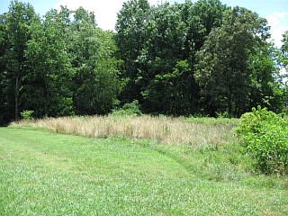 2nd image of 211 Oak Forest Cir