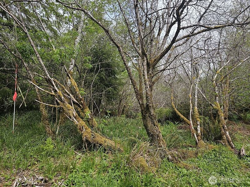 3rd image of 0 Larkin Road