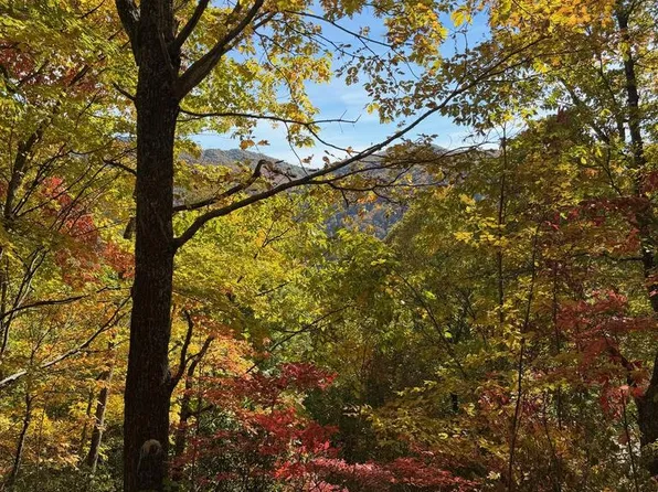 11 High Springs Rd, Bryson City, NC 28713