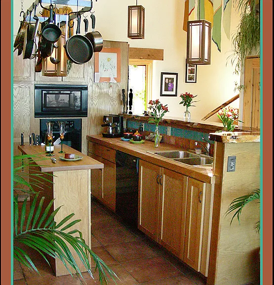 Kitchen and bar with suspended pot rack.