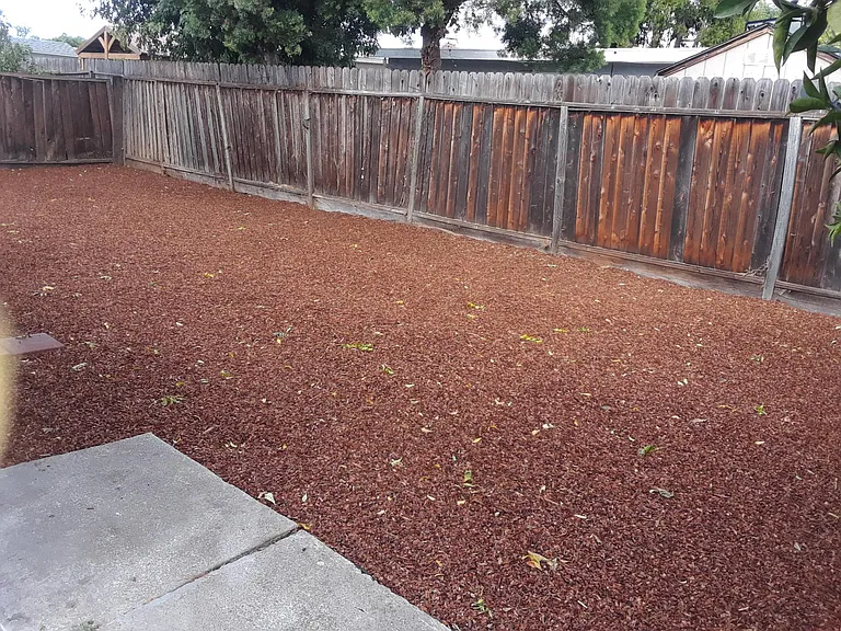 36730 Ruschin Dr — Photo 17