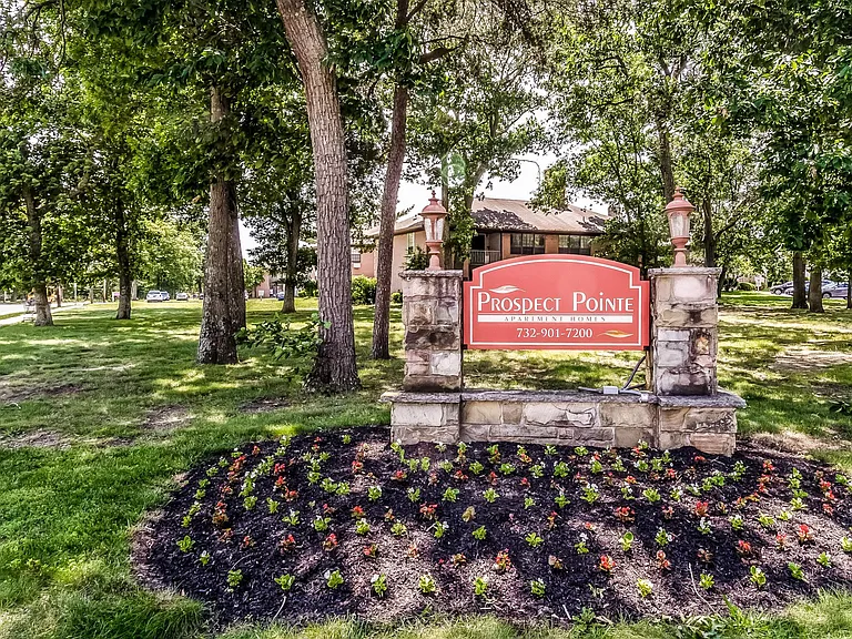 Prospect Pointe — Photo 18