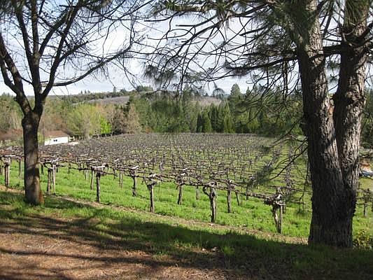 2nd image of 5050 Granite Springs Winery Rd