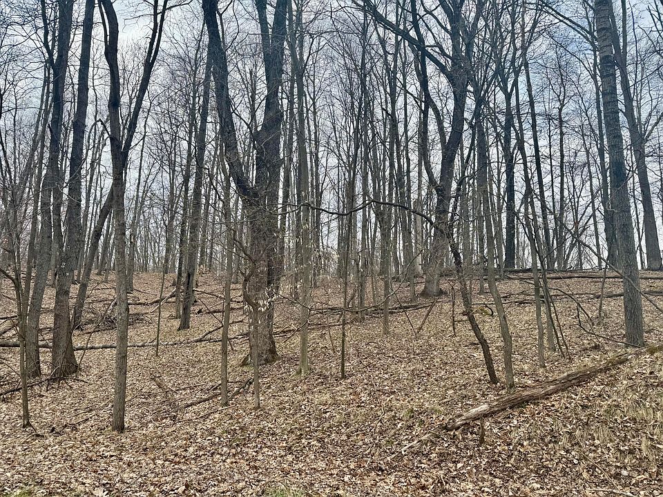 1st image of 9779 Buffalo Ct