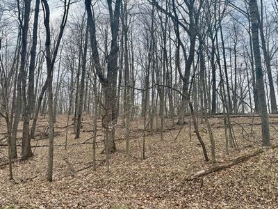 9779 Buffalo Ct, Stanwood, MI, 49346