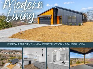 128 Sapling Dr, Branson, MO 65616