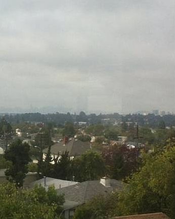 View from Living Room