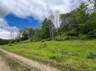LOT 5 42 Degrees N, Ellicottville, NY 14731