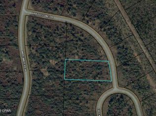 110 Bristlecone Dr, Wewahitchka, FL 32465