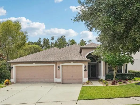 19220 Pepper Grass Dr, Tampa, FL 33647