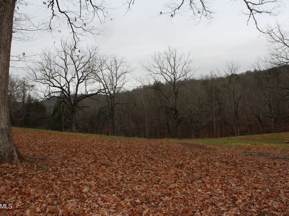 Will Patton Rd, Pall Mall, TN 38577