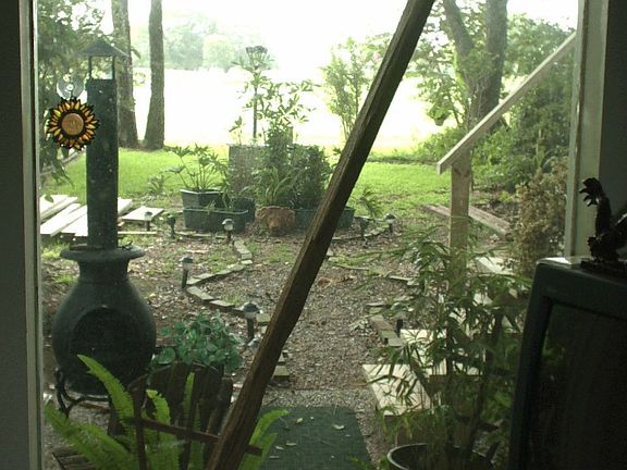 Backyard View from Living Room Window
