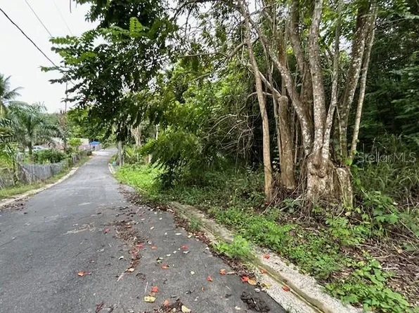 Campo Nuevo Azucena 2, Vega Alta, PR 00692
