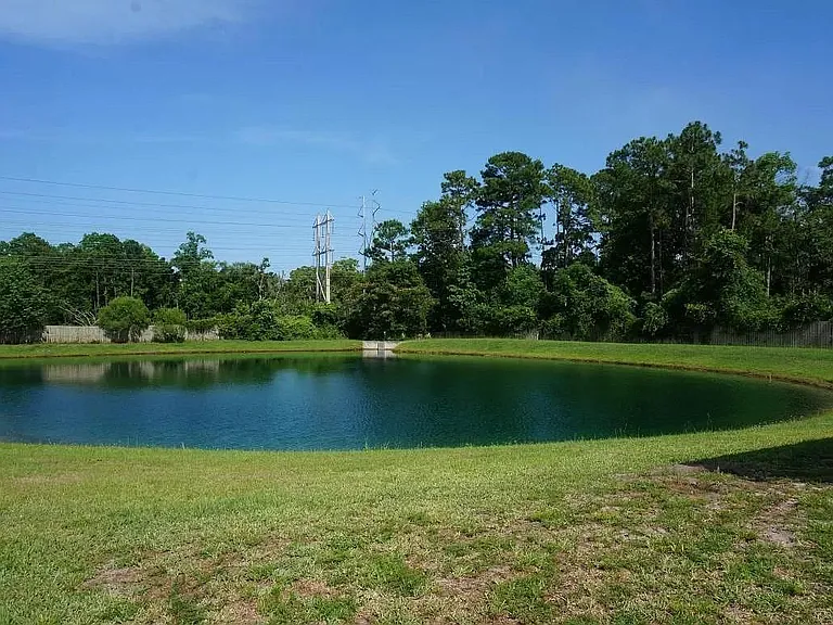 Pond
