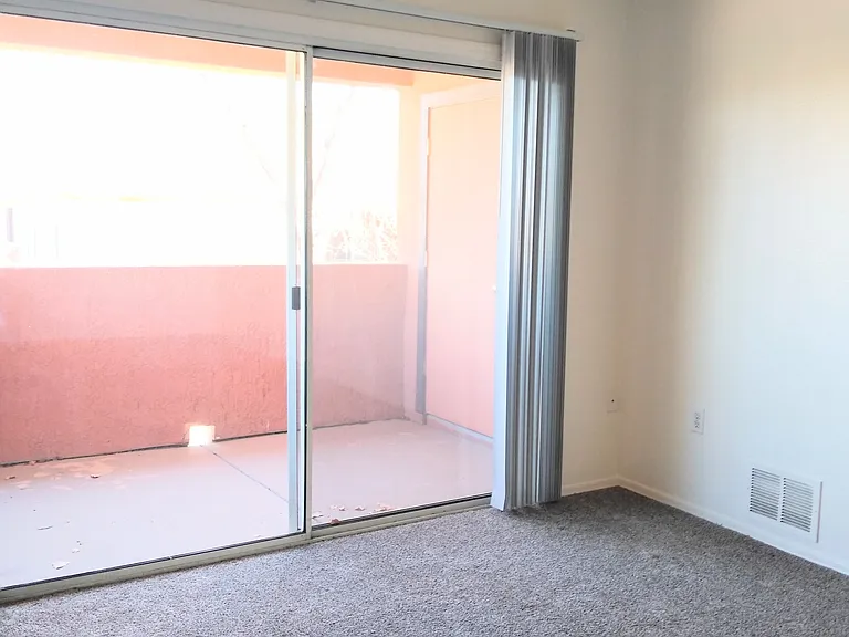 351 E Pearl St #5103 — Photo 10