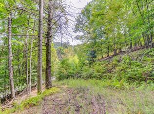 437 Blue Mist Way, Arden, NC 28704