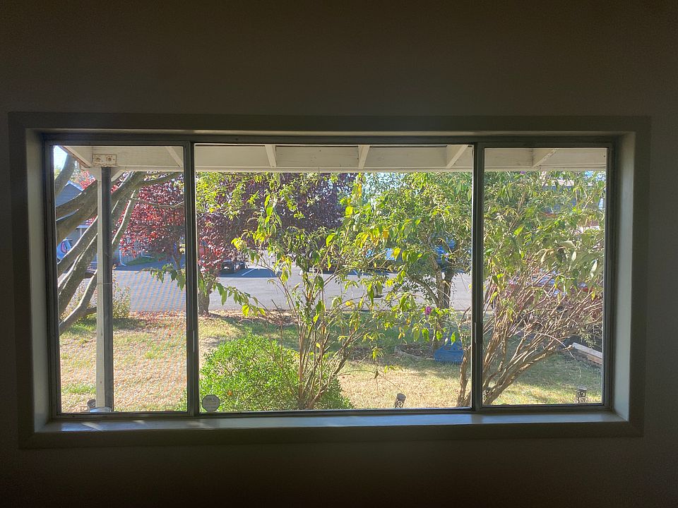Front room window