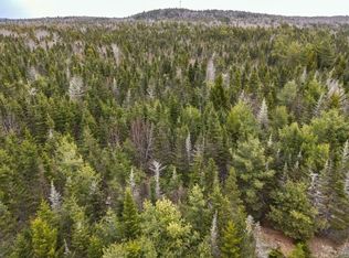 21 Reynolds Brook Rd, Whiting, ME 04691