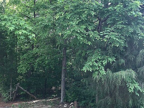 3rd image of 295 Garden Dr