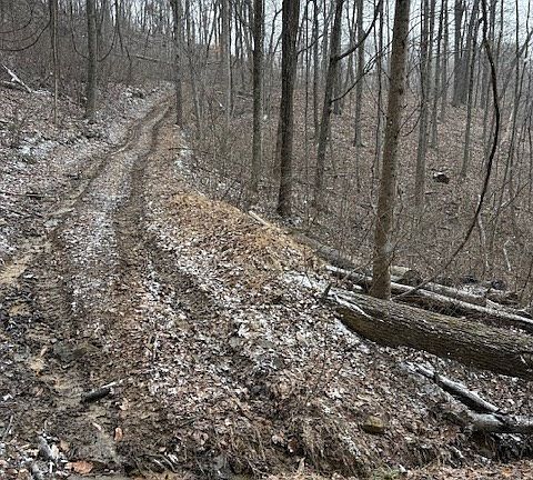 5th image of 0 Wolf Run Rd