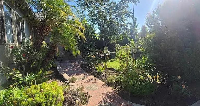 Peach Ave — Photo 4