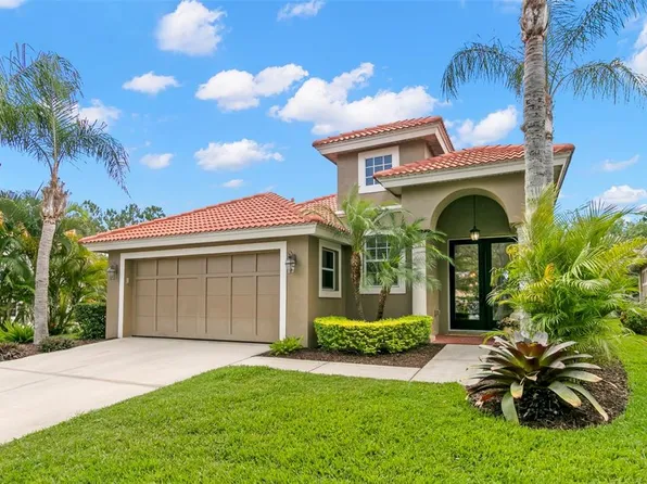 14604 Mirasol Manor Ct, Tampa, FL 33626