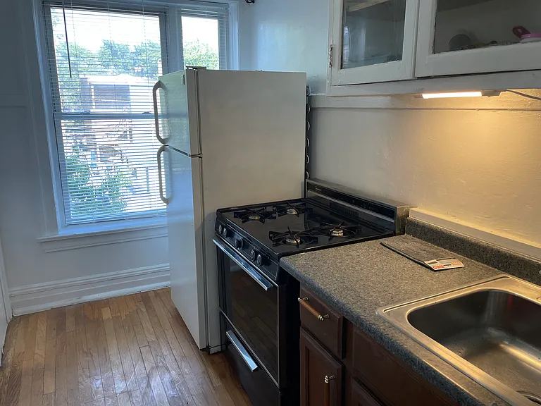 4945 N Kedzie Ave #2R — Photo 7