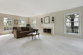 3rd image of 1123 Donegal Ln