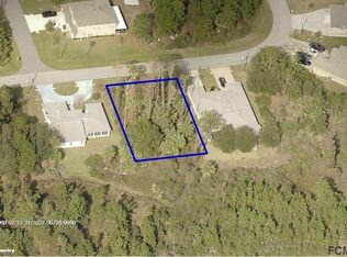 24 Lindsay Dr, Palm Coast, FL 32137