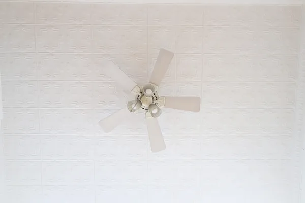 Rented by Douglas Elliman | media 19