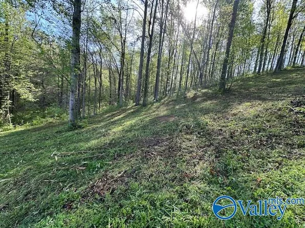 LOT 28 Hualapai Ln, Guntersville, AL 35976