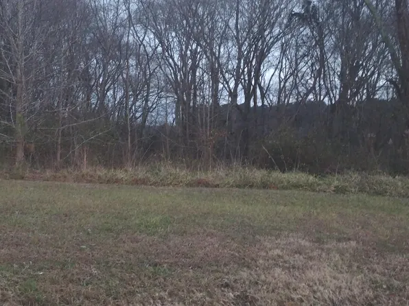 33199 Peach Orchard Rd, Pocomoke City, MD 21851