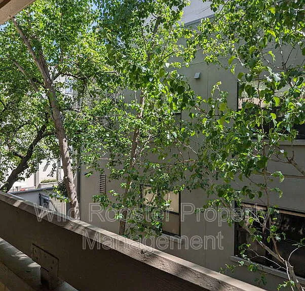 1808 K St #L-2 — Photo 23