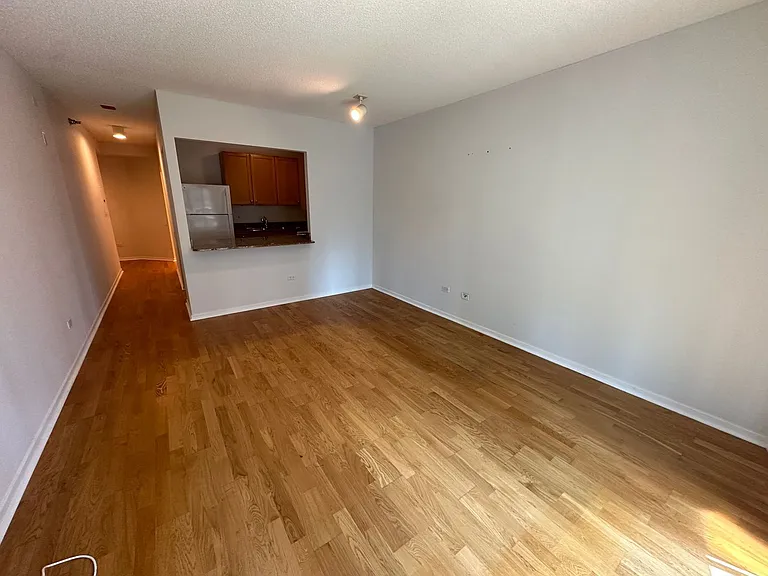 400 N La Salle Dr #906 — Photo 11