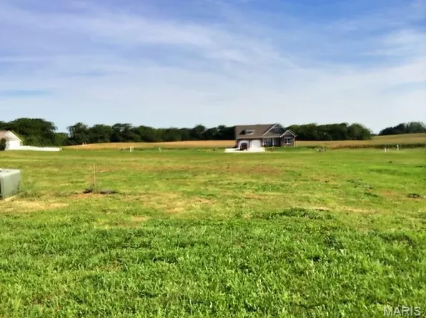 505 Bluff Meadows Dr, Valmeyer, IL 62295