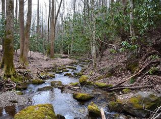 35 Creekside Village Ct, Sapphire, NC 28774