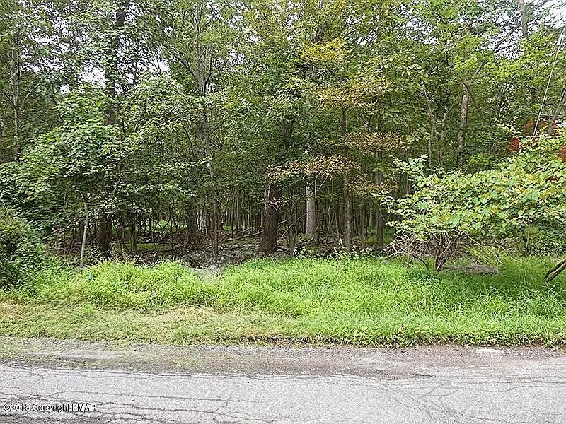 31 Secor Ave Clubhouse 14 photo 1