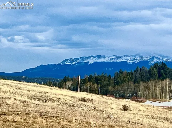 663 Hidden Valley Dr, Florissant, CO 80816