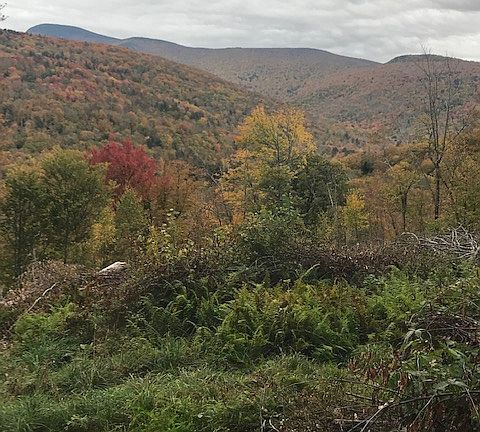 Extended view to right side