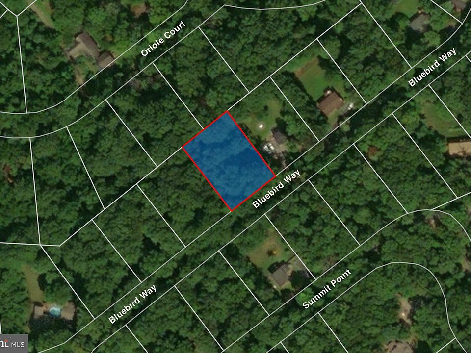 2nd image of Bluebird Way