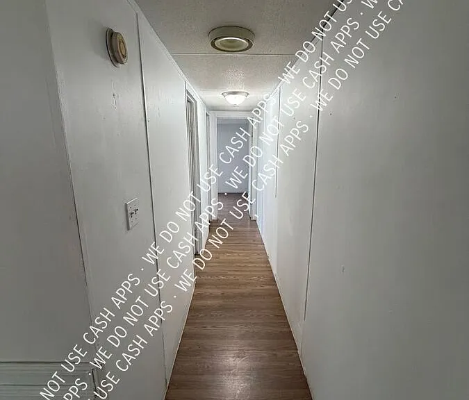 102 Hornet Ln — Photo 5