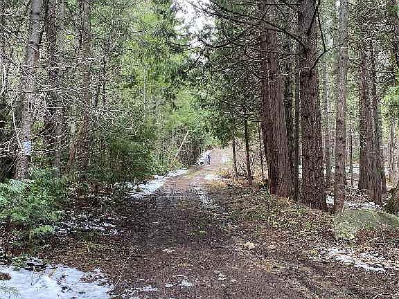 4th image of Red Fir Loop