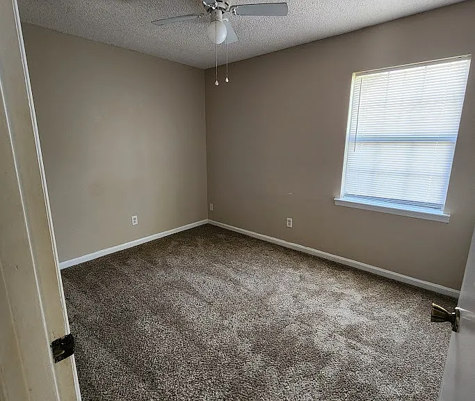 219 Petunia Dr — Photo 7