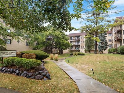 7100 W Cullom Ave Unit 312, Norridge, IL, 60706